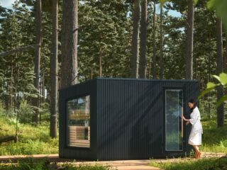 Terra M im Wald Black Line